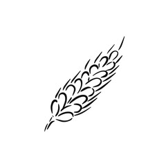 Black sketch hand drawn wheat stalk on white background
