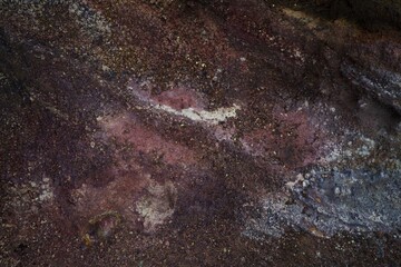 close up of a rock and soil