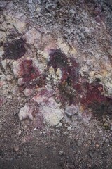 texture of the stone