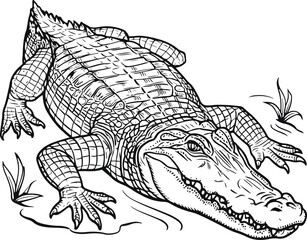 detailed and intricate line art illustration of an alligator unique textures and patterns of the alligator's skin 3.eps