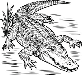detailed and intricate line art illustration of an alligator unique textures and patterns of the alligator's skin.eps