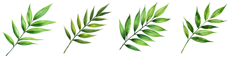 Obraz premium Watercolor of a Single Bamboo Leaf