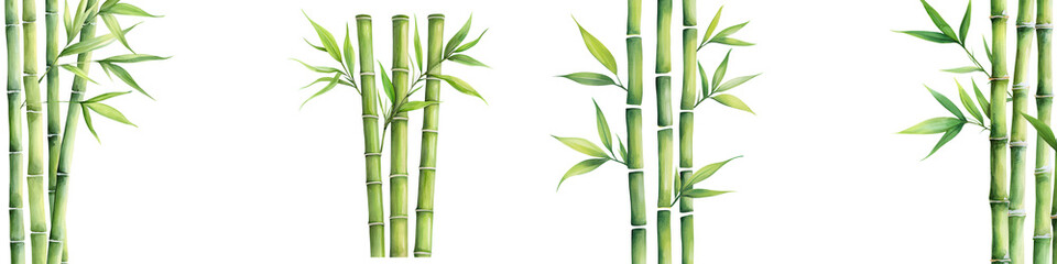Watercolor Bamboo Stalks in Natural Setting