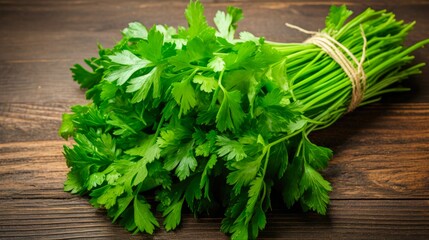 Fresh Green Parsley Leaves - Organic Vegetarian Ingredient and Bunch of Herbal Vegetable