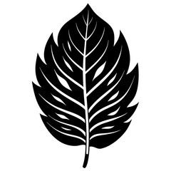 Fototapeta premium Leaf black silhouette vector, Simple silhouette Design vector icon with white background. Nature Vector. 