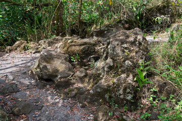 La Fortuna, Costa Rica - November 20, 2024 - walk around the Arenal volcano with breathtaking views in Provincia de Alajuela 