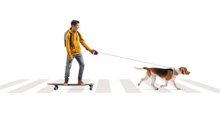 Male teenager on a skateboard with a beagle dog crossing a street
