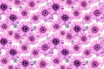 Seamless watercolor gerbera flowers purple background pattern wallpaper