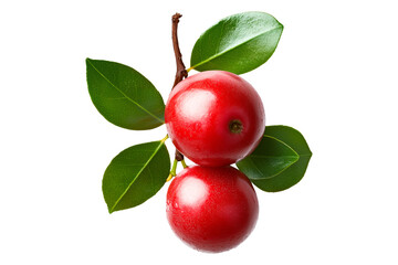 Fresh red guava berries or camu camu with green leaves isolated on white transparent background. Concept of healthy food.
