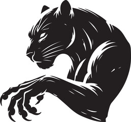 Black panther on white background