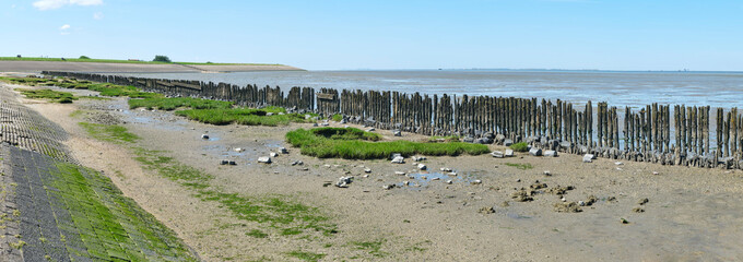 Panorama of the old sea wall or rijsdam at the old fishing village Moddergat in Friesland The Netherlands. Placed centuries ago for land reclamation in the Wadden Sea.