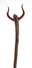 wooden magic staff with horns isolated on white background