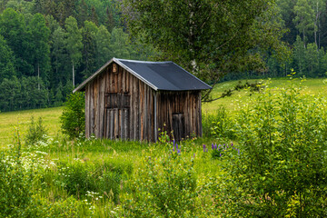 The cottage in Swidish countryside