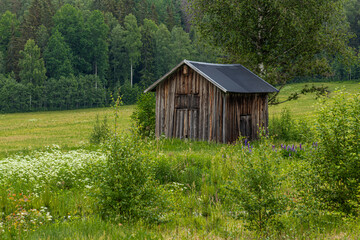 The cottage in Swidish countryside