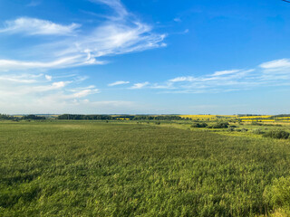 Fototapeta premium Image shows a natural, undisturbed landscape transitioning from marshy terrain to flatlands under clear skies with scattered light clouds