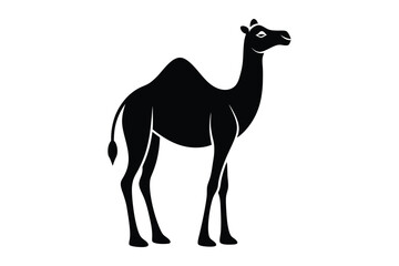 Fototapeta premium Camel Silhouette, Camel Isolated On White Background, Camel on black and white vector design, Desert and Wildlife