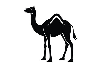 Camel Silhouette, Camel Isolated On White Background, Camel on black and white vector design, Desert and Wildlife