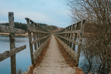 Obraz premium Rustic Wooden Bridge Over a Tranquil Lake – Scenic Countryside Path