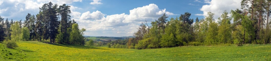 Obraz premium landscape near Velke Mezirici town, meadow and forest