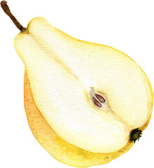 Watercolor Half Yellow Pear Clipart for Food and Rustic Design
