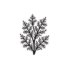  Black Color Algae silhouette design Vector Illustration, Solid White Background