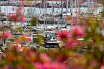 Sailboats and sailing yachts in a marina in the port of Palma, Majorca, Mallorca, Balearic Islands, Spain, Europe © ladistock