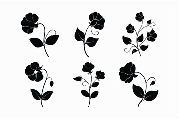 Set of sweet pea flower vector illustration.