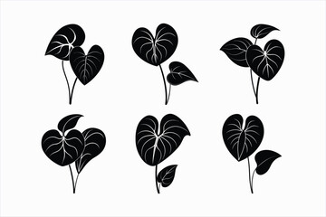 Set of anthurium plant vector illustration