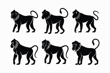 Set of baboon animal vector illustration 