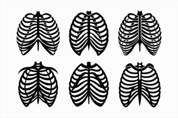 Set of human rib cage vector illustration