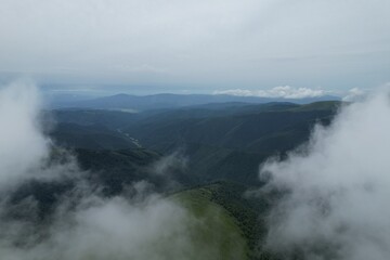 fog in the mountains