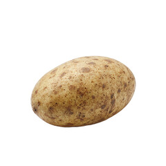 Fototapeta premium Fresh russet potato on white background rustic simplicity