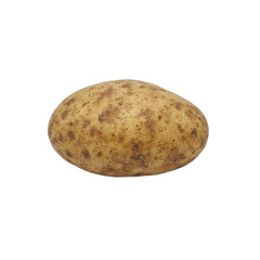 Fresh russet potato on white background rustic simplicity