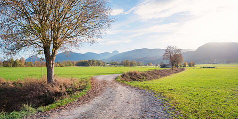 walkway around Bad Feilnbach, through green pasture, alps view and autumnal tree