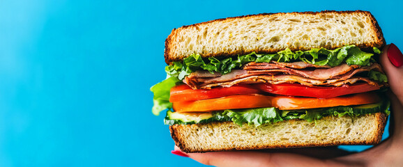 Fresh sandwich with sliced turkey, tomatoes, lettuce, and bread on a blue background, top view
