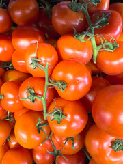 Juicy tomatoes neatly placed in a container.