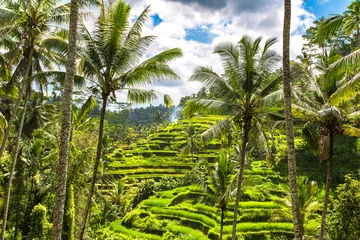Fotobehang Tegallalang rice terrace on Bali © Sergii Figurnyi