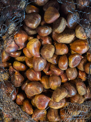 Shiny chestnuts displayed beautifully in the mall.