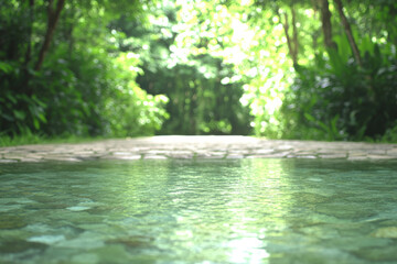Fototapeta premium A path through a forest with a body of water in the foreground