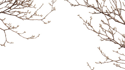 Obraz premium Border of dry tree branch on transparent background