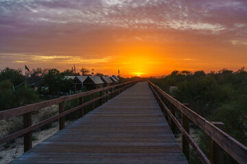 Fototapeta premium Stunning sunset view from a wooden boardwalk surrounded by nature.