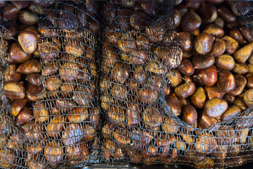 Fresh chestnuts neatly arranged in the mall display.