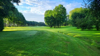 A serene park scene featuring expansive green lawns surrounded by tall trees. The sunlight filters through the leaves, creating a peaceful atmosphere inviting relaxation and outdoor activities.