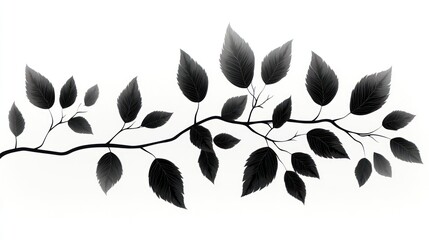 Dark branch, leaves, design element, isolated, white background, nature, graphic, illustration, website
