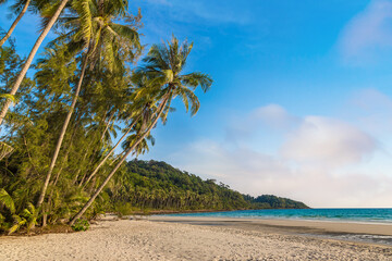 Obraz premium Tropical beach at summer day