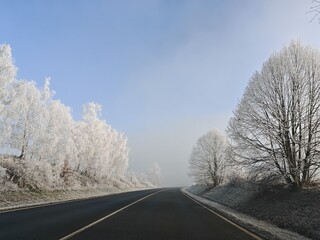 Obraz premium frost and snow covered trees along an empty speed road, winter time travelling concept during peaceful morning ride