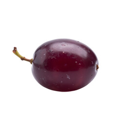 Single Purple Grape on White Background