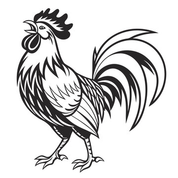 rooster logo, black outline, vector graphic, transparent background