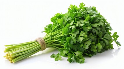 Fresh bunch of parsley on a white background  
