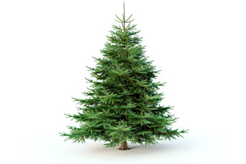 Fototapeta premium Evergreen tree on white background with lush green branches spread widely. Concept of holiday decoration and nature.